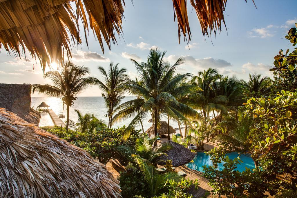 Xanadu Island Resort サン・ペドロ 部屋 写真